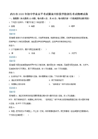 初中物理中考复习 精品解析：四川省内江市2020年中考物理试题（解析版）