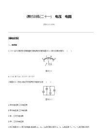 初中物理中考复习 课时训练21 电压　电阻