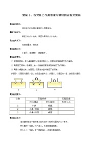 初中物理中考复习 实验10 探究压力作用效果的影响因素实验（原卷版）