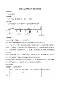 初中物理中考复习 实验15 探究杠杆平衡条件的实验(解析版)