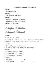 初中物理中考复习 实验17 探究动能大小的影响因素实验（原卷版）