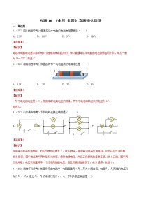 初中物理中考复习 专题16 电压 电阻 真题强化训练（解析版）