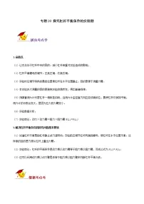 初中物理中考复习 专题20 探究杠杆平衡条件的实验题(原卷版)