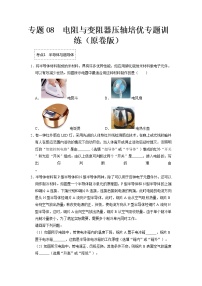 专题08  电阻与变阻器- 2022-2023 九年级全一册物理《压轴挑战》培优专题训练（人教版）