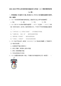 山东省济南市高新区2022-2023学年九年级上学期期末物理试题（A卷）