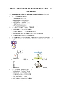 山东省滨州市惠民县大年陈镇中学2022-2023学年九年级上学期期末物理试题（有答案）