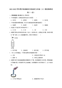 四川省成都市天府新区2022-2023学年九年级上学期期末物理试题(含答案)