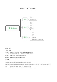 鲁教版八年级物理下册 专题02 弹力 重力 摩擦力讲义（原卷+解析卷）