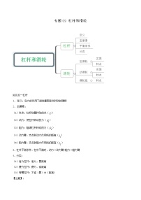 鲁教版八年级物理下册 专题09 杠杆和滑轮讲义（原卷+解析卷）