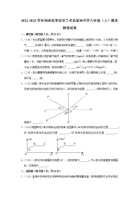 河南省开封市兰考县星河中学2022-2023学年八年级上学期期末物理试题(含答案)