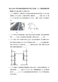 河南省洛阳市伊川县2022-2023学年八年级上学期期末物理试题(含答案)