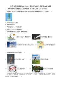 东台市第五联盟2021-2022学年九年级3月月考物理试题（含解析）