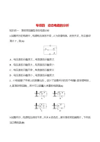 专项四 动态电路的分析 同步练习 2022-2023 人教版 九年级物理