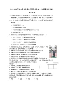 山东省菏泽市巨野县2022-2023学年八年级上学期期末物理考前模拟试卷(含答案)