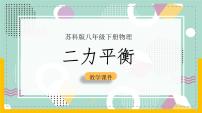 初中物理二力平衡完美版课件ppt