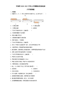 山西省朔州市平鲁区2020-2021学年八年级上学期期末质量检测物理试卷（含答案）