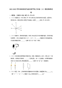 河南省 驻马店市遂平县2022-2023学年八年级上学期物理期末试卷(含答案)