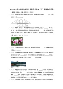 河南省洛阳市宜阳县2022-2023学年八年级上学期期末物理试卷(含答案)