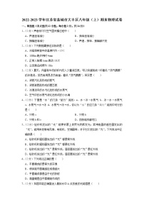 江苏省盐城市大丰区2022-2023学年八年级上学期期末物理试卷