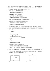 河南省郑州市新郑市2022-2023学年九年级上学期期末物理试卷