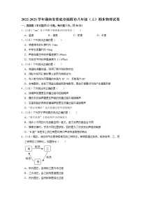 湖南省娄底市涟源市2022-2023学年八年级上学期期末物理试卷