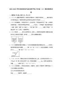 河南省驻马店市西平县2022-2023学年八年级上学期期末物理试题（含答案）