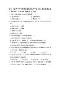 广东省湛江市徐闻县2022-2023学年八年级上学期期末物理试卷(含答案)