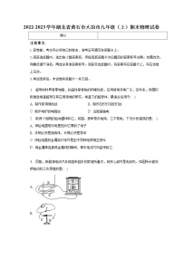 湖北省黄石市大冶市2022-2023学年九年级上学期期末物理试卷(含答案)