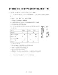 【中考物理】2022-2023学年广东省深圳市专项提升复习（一模）含解析