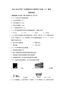 广东省惠州市大亚湾区2022-2023学年八年级上学期期末物理试卷（含答案）