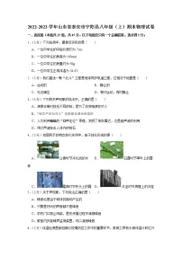 山东省泰安市宁阳县2022-2023学年八年级上学期期末物理试卷(含答案)