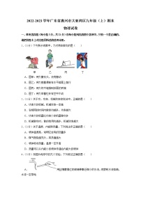 广东省惠州市大亚湾区2022-2023学年九年级上学期期末物理试卷（含答案）