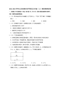 山东省德州市平原县2022-2023学年九年级上学期期末物理试卷（含答案）