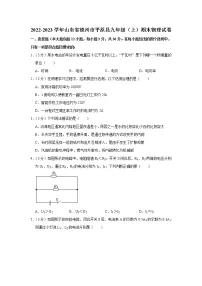 山东省德州市平原县2022-2023学年九年级上学期期末物理试卷（含答案）