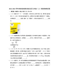 河南省南阳市卧龙区2022-2023学年九年级上学期期末物理试题（含答案）