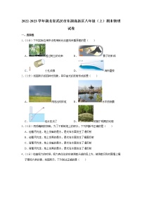 湖北省武汉市东湖高新区2022-2023学年八年级上学期期末物理试卷（含答案）