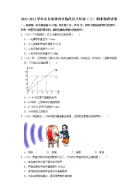 山东省德州市临邑县2022-2023学年八年级上学期期末物理试卷