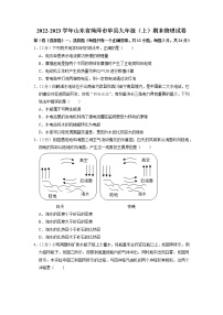 山东省菏泽市单县2022-2023学年九年级上学期期末物理试题