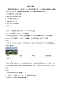 2022年四川省乐山市中考物理试题（教师版）