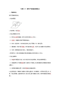 2023中考物理专题三十 探究平面镜成像特点