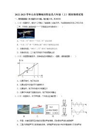 山东省聊城市阳谷县2022-2023学年八年级上学期期末物理试卷(含答案)