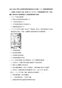云南省昆明市盘龙区2022-2023学年九年级上学期期末物理试题(含答案)