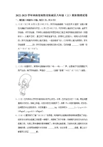 河南省南阳市宛城区等2地2022-2023学年八年级上学期期末物理试题（含答案）