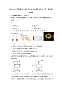 黑龙江省齐齐哈尔市铁锋区2022-2023学年九年级上学期期末考试物理试题（含答案）