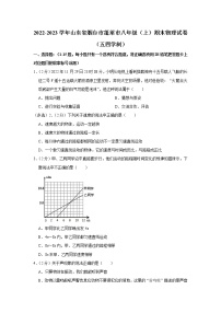 山东省烟台市蓬莱市2022-2023学年八年级上学期期末物理试题（五四学制）（含答案）