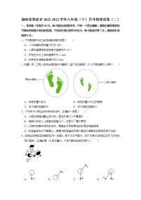 湖南省娄底市2021-2022学年八年级下学期月考物理试卷（二）