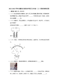 安徽省合肥市庐阳区2022-2023学年九年级上学期期末物理试题