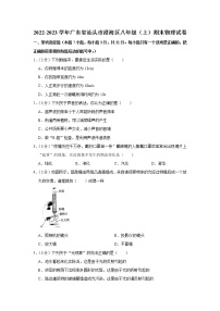 广东省汕头市澄海区2022-2023学年八年级上学期期末物理试题