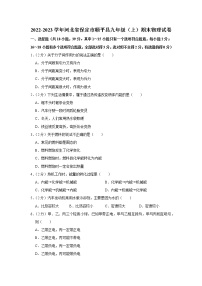 河北省保定市顺平县2022-2023学年九年级上学期期末物理试题