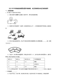 2023年中考物理实验探究题专项训练：电压的测量及电压表的使用